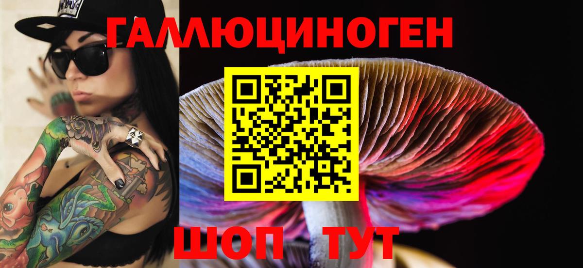 Псилоцибиновые грибы ЛСД  Вход с VPN  Псилоцибиновые грибы MAGIC MUSHROOMS  Новоалександровск 